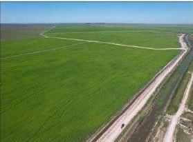A 100 kms de Mercedes hacia los Esteros del Ibera.