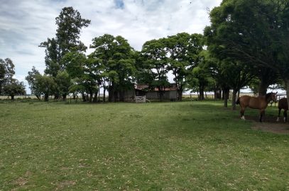 Sobre pavimento, campo ganadero para 400/500 vacas
