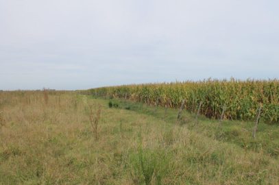 En el Partido de MONTE, Provincia de Buenos Aires.