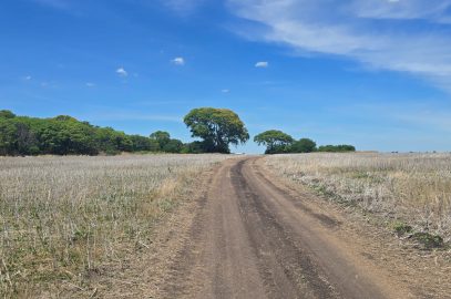 En el Departamento de Tala, Provincia de Entre Rios.